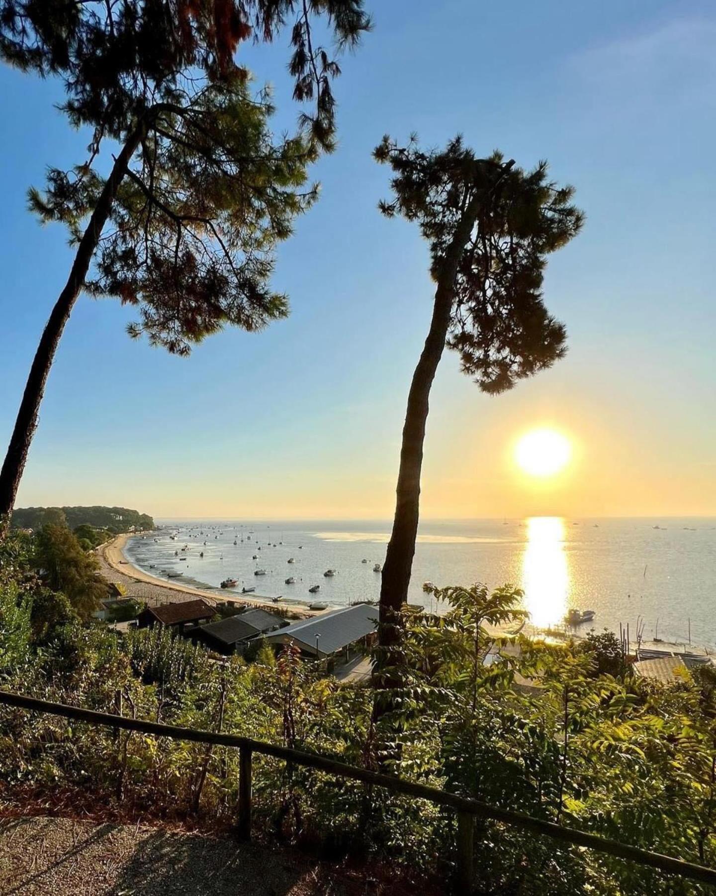 Cocon entre presqu'île du Cap Ferret et plages océanes - terrasse - vélo gratuit Ares Extérieur photo