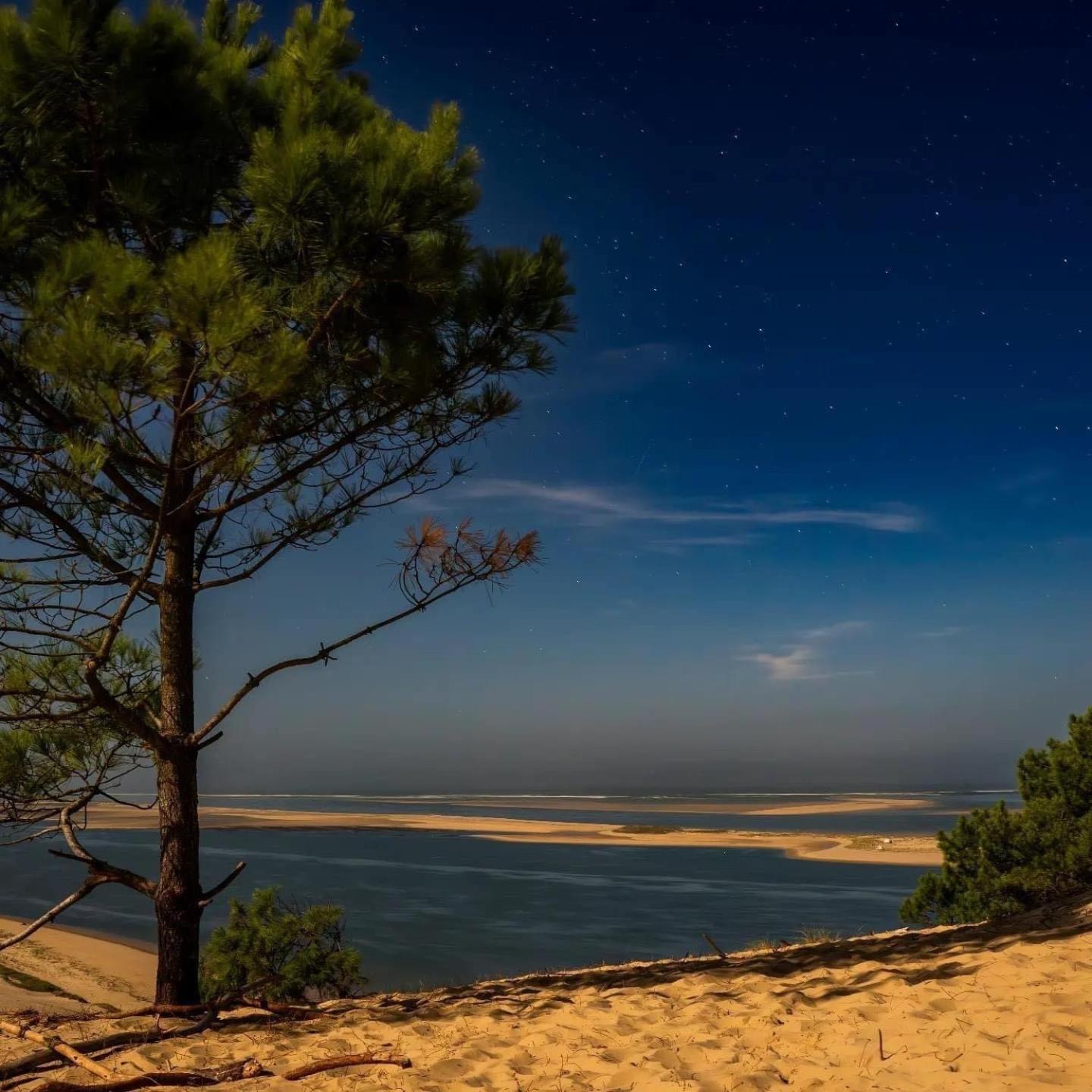 Cocon entre presqu'île du Cap Ferret et plages océanes - terrasse - vélo gratuit Ares Extérieur photo
