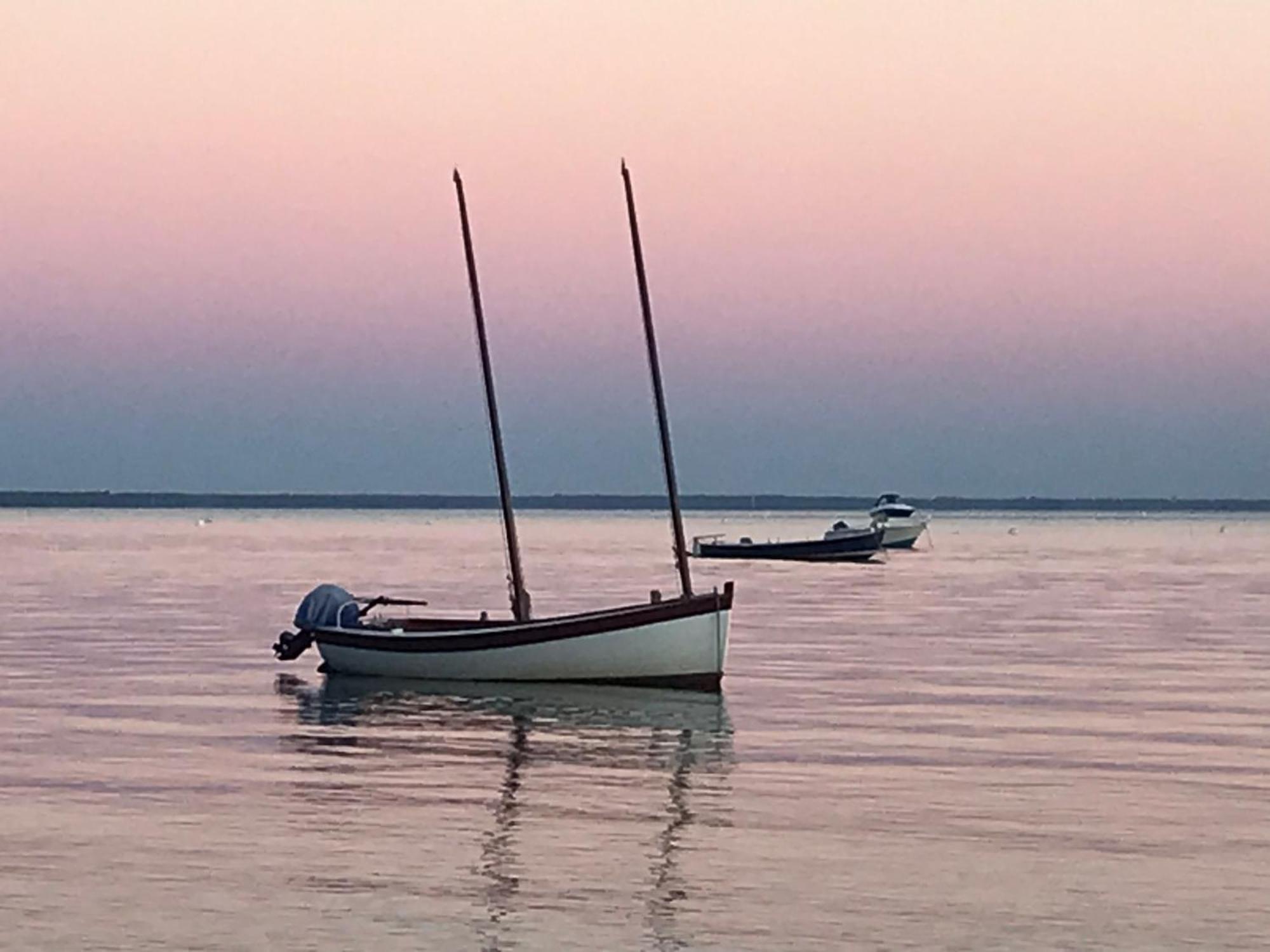 Cocon entre presqu'île du Cap Ferret et plages océanes - terrasse - vélo gratuit Ares Extérieur photo