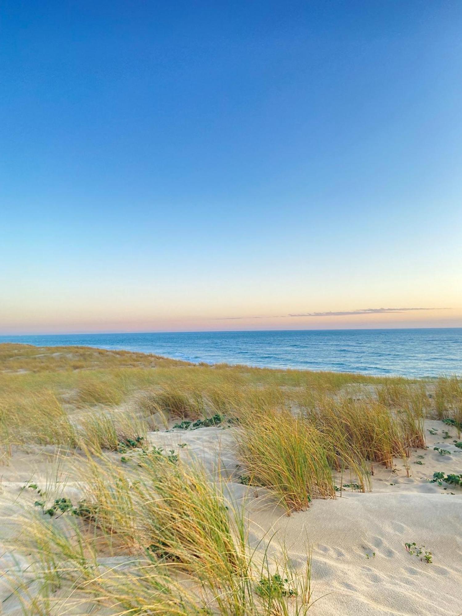 Cocon entre presqu'île du Cap Ferret et plages océanes - terrasse - vélo gratuit Ares Extérieur photo