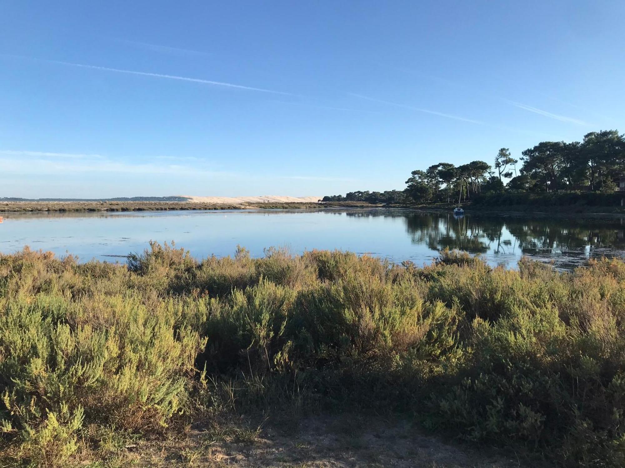 Cocon entre presqu'île du Cap Ferret et plages océanes - terrasse - vélo gratuit Ares Extérieur photo